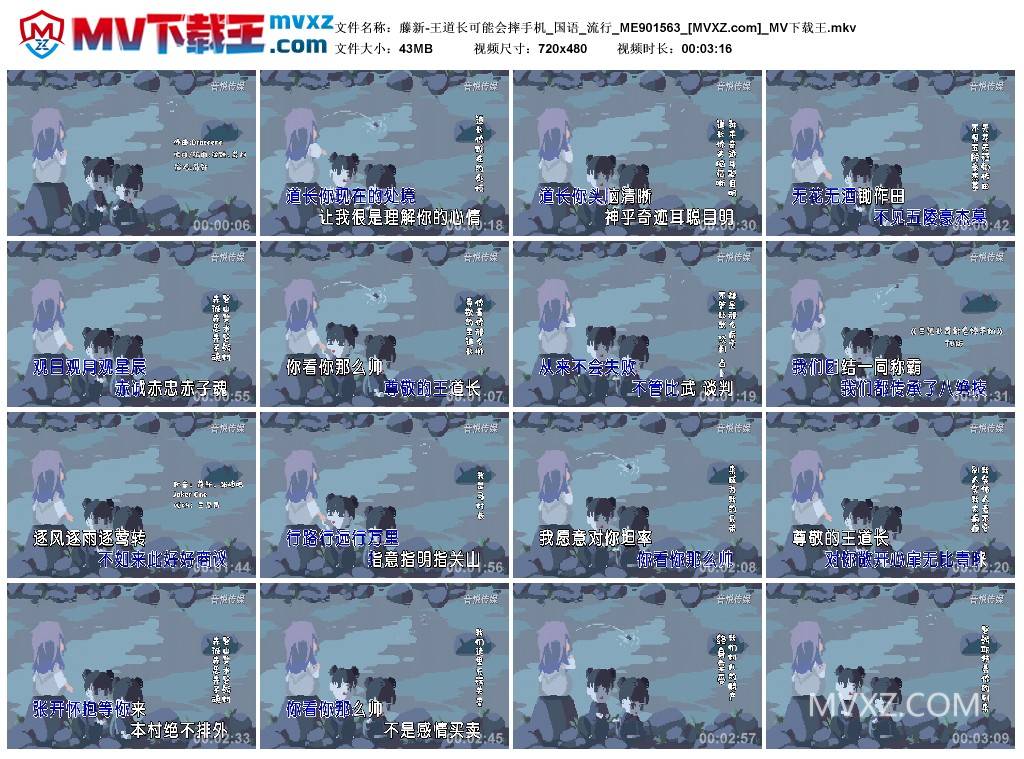 藤新-王道长可能会摔手机_国语_流行_ME901563